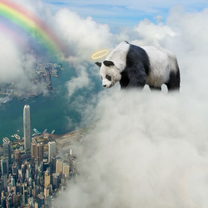 23 Surreal Panda Pics That Turn Everyday Hong Kong Into A Giant Playground