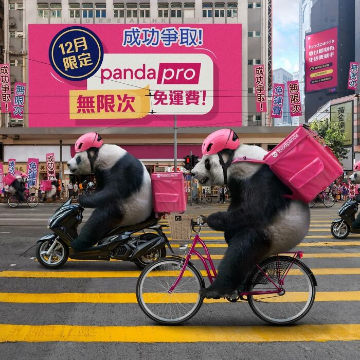 23 Surreal Panda Pics That Turn Everyday Hong Kong Into A Giant Playground