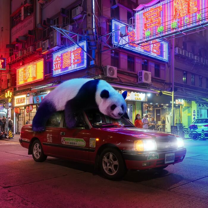 23 Surreal Panda Pics That Turn Everyday Hong Kong Into A Giant Playground