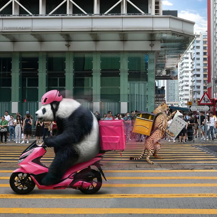 23 Surreal Panda Pics That Turn Everyday Hong Kong Into A Giant Playground