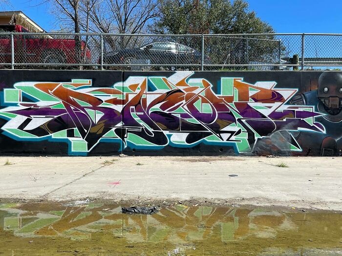 40 Powerful Murals By Alexander “Vizsla” Bacon That Merge Graffiti Culture With Fine Art
