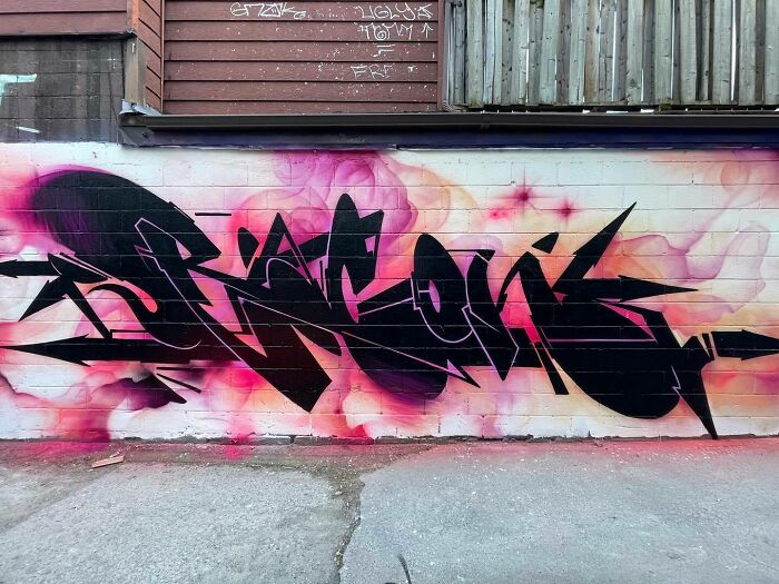 40 Powerful Murals By Alexander “Vizsla” Bacon That Merge Graffiti Culture With Fine Art