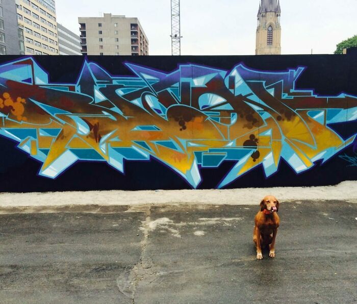 40 Powerful Murals By Alexander “Vizsla” Bacon That Merge Graffiti Culture With Fine Art