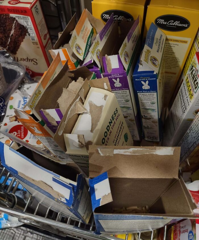 50 Photos That Show What It’s Like To Have An Entitled Sibling
