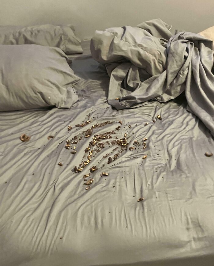 50 Photos That Show What It’s Like To Have An Entitled Sibling