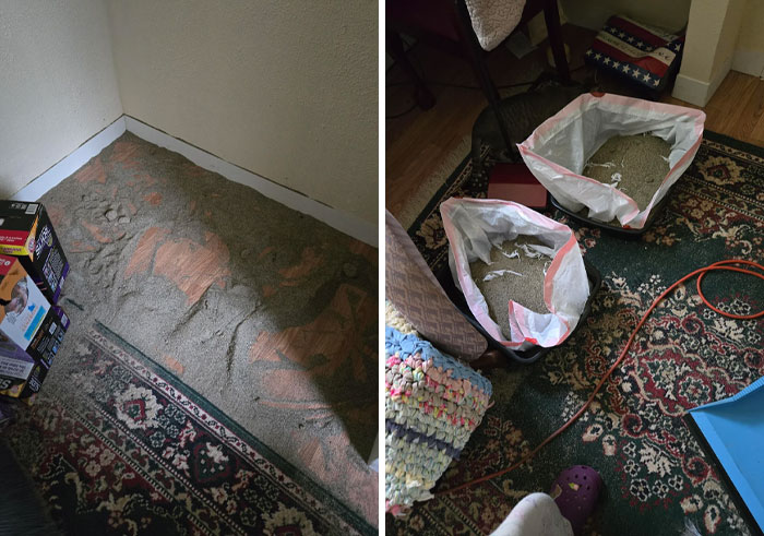 50 Photos That Show What It’s Like To Have An Entitled Sibling