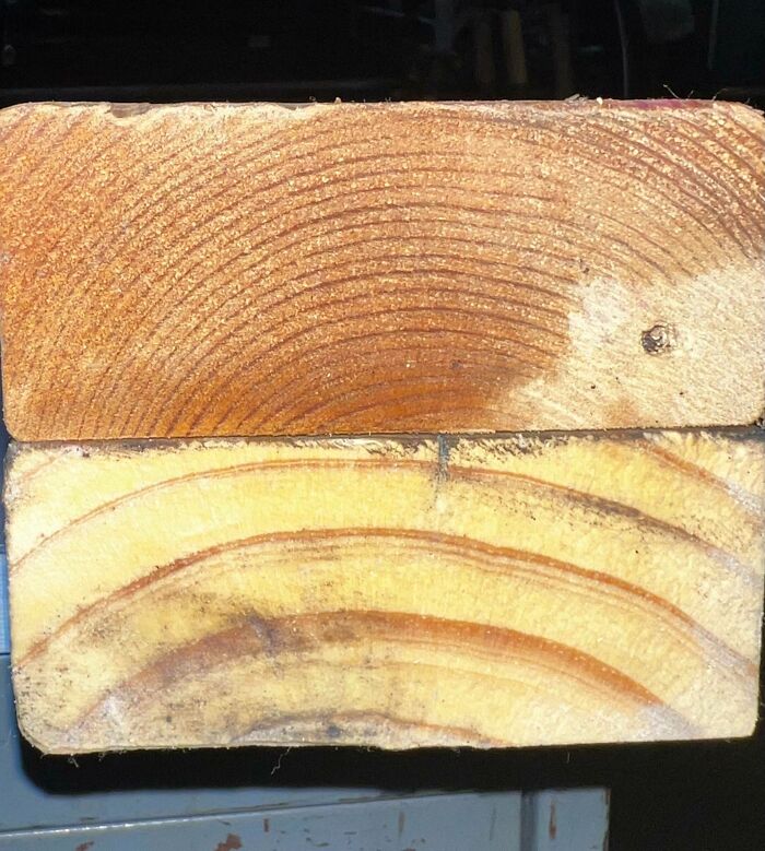 71 Comparisons Nobody Asked For But You Might Be Interested To See (New Pics)