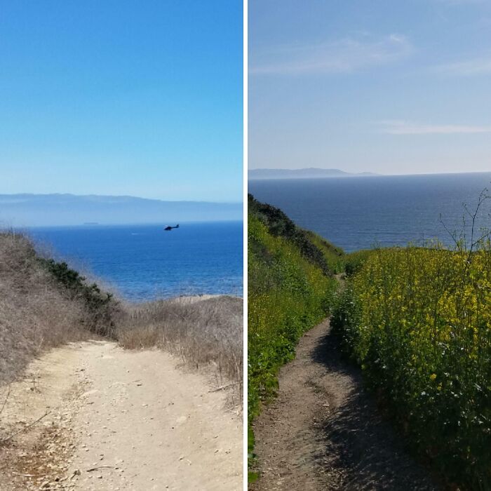 71 Comparisons Nobody Asked For But You Might Be Interested To See (New Pics)