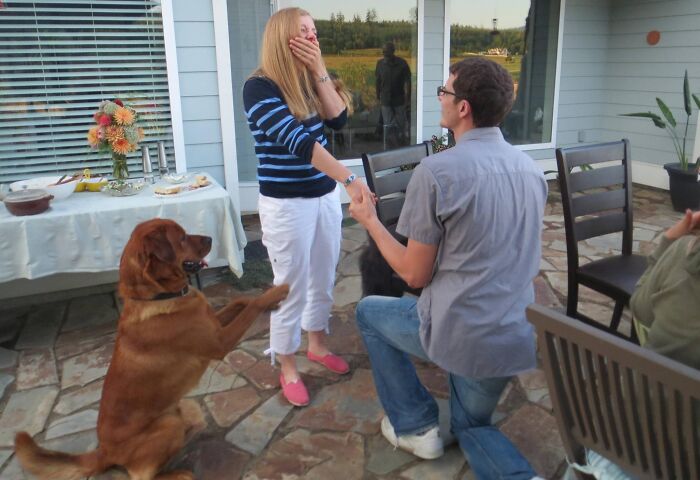 89 Funny Times Pets Crashed Photos And Totally Stole The Show