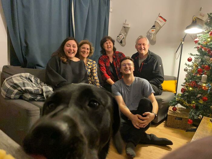 89 Funny Times Pets Crashed Photos And Totally Stole The Show