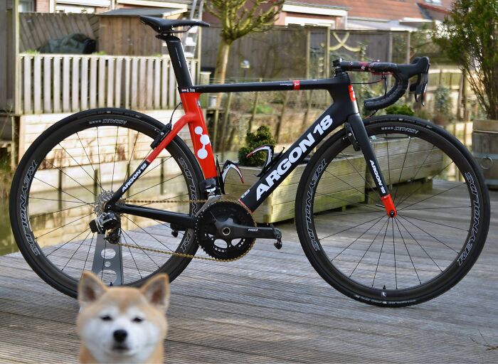 89 Funny Times Pets Crashed Photos And Totally Stole The Show