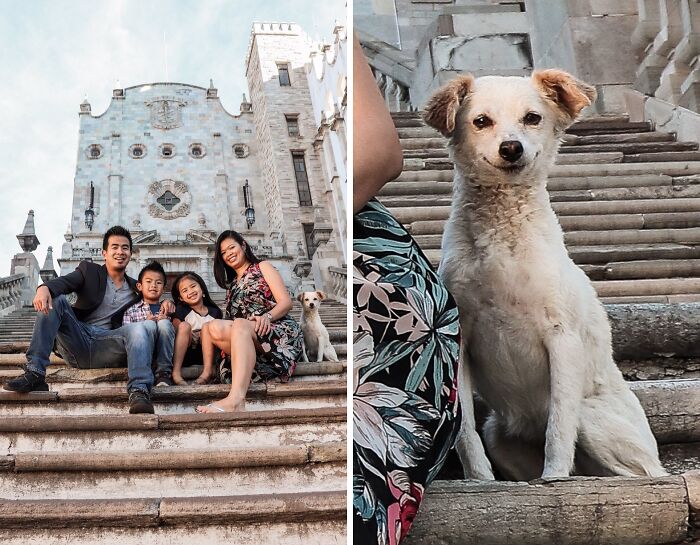 89 Funny Times Pets Crashed Photos And Totally Stole The Show