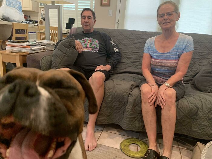 89 Funny Times Pets Crashed Photos And Totally Stole The Show