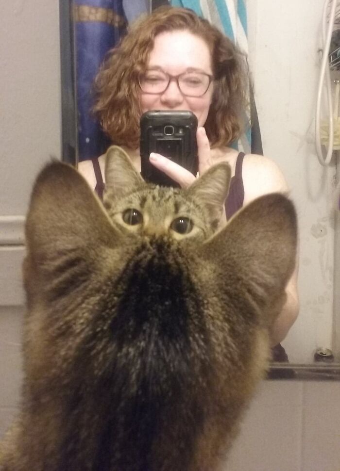 89 Funny Times Pets Crashed Photos And Totally Stole The Show