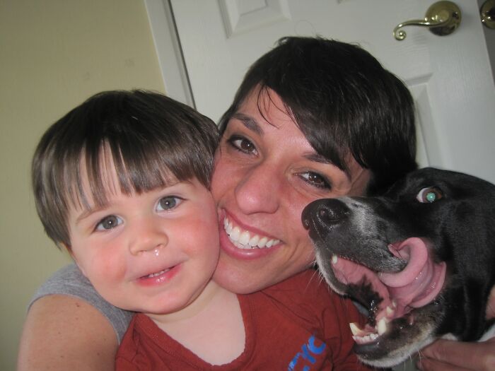 89 Funny Times Pets Crashed Photos And Totally Stole The Show