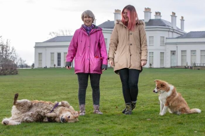 89 Funny Times Pets Crashed Photos And Totally Stole The Show