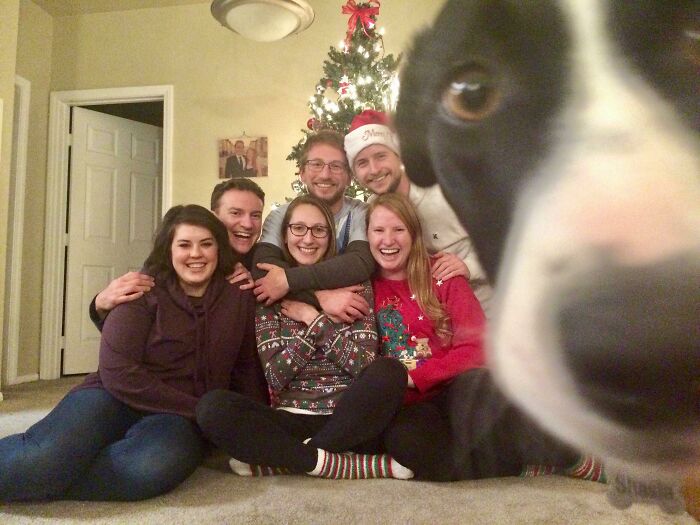 89 Funny Times Pets Crashed Photos And Totally Stole The Show