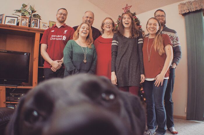 89 Funny Times Pets Crashed Photos And Totally Stole The Show