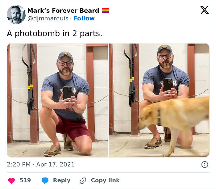 89 Funny Times Pets Crashed Photos And Totally Stole The Show