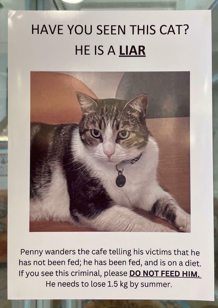 68 Times People Were Too Witty For Their Own Good