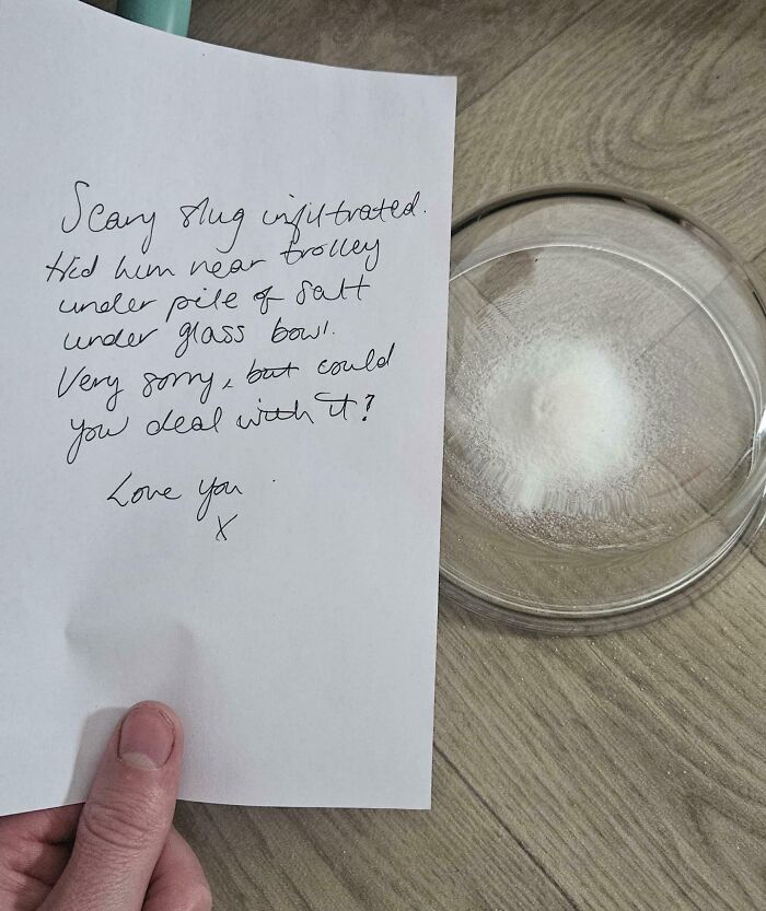 68 Times People Were Too Witty For Their Own Good