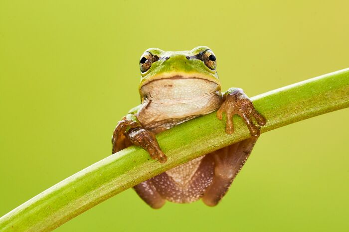 Tired Of Bad News? Here Are 82 Bits Of Good News That Deserve The Spotlight