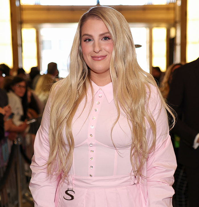 After Being So Unrecognizable That People Mistook Her For Paris Hilton, Meghan Trainor Claps Back