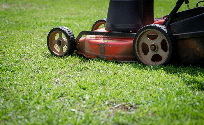 Woman Goes Ballistic On Her BF For Agreeing To Mow His Ex&#8217;s Lawn, He Complains About It Online