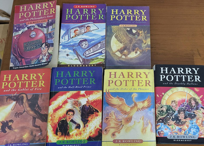 “I Will Not Throw Them Away”: Woman Defends Letting Her Kids Read Harry Potter