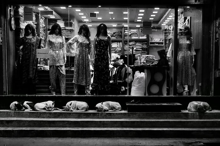 30 Street Moments I’ve Captured That Show Life As It Happens