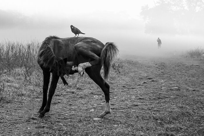 30 Street Moments I’ve Captured That Show Life As It Happens
