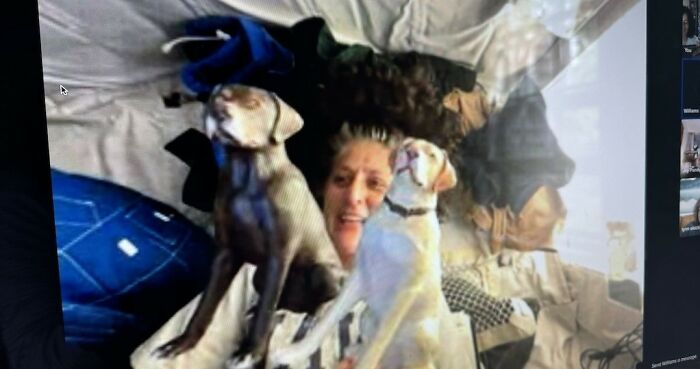 Astronaut Comes Back After 10 Long Months, Her Reunion With Dogs Melts Hearts Online