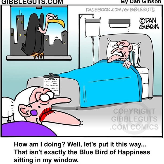 40 Hilarious One-Panel Comics About Aging, Drawn By Dan Gibson Of &#8220;Gibbleguts&#8221;