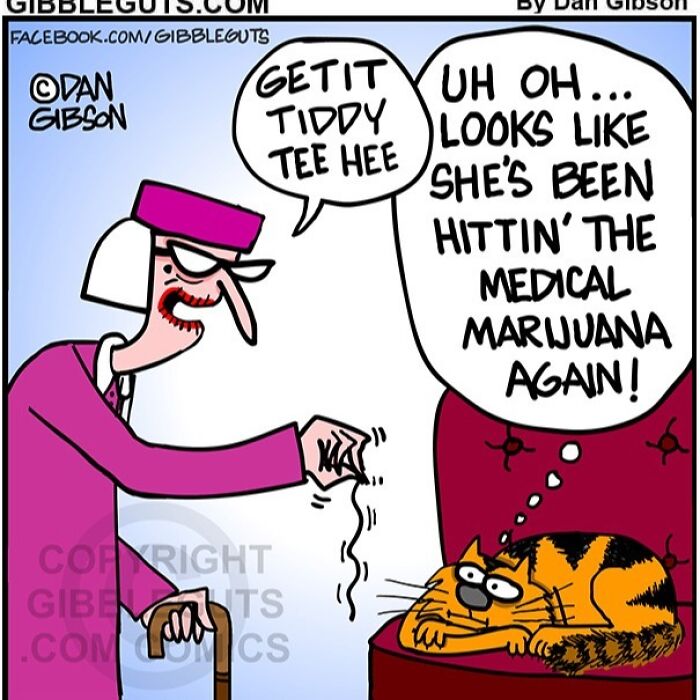 40 Hilarious One-Panel Comics About Aging, Drawn By Dan Gibson Of &#8220;Gibbleguts&#8221;