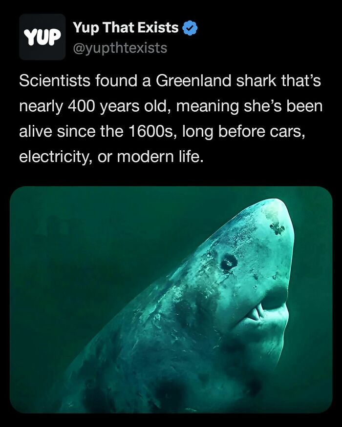 “Yup That Exists”: 109 Weird Things That Sound Made Up But Are Very Real (New Pics)