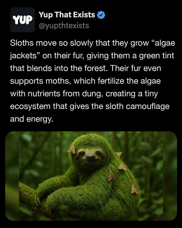 “Yup That Exists”: 109 Weird Things That Sound Made Up But Are Very Real (New Pics)
