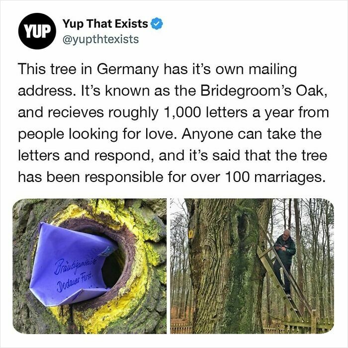“Yup That Exists”: 109 Weird Things That Sound Made Up But Are Very Real (New Pics)