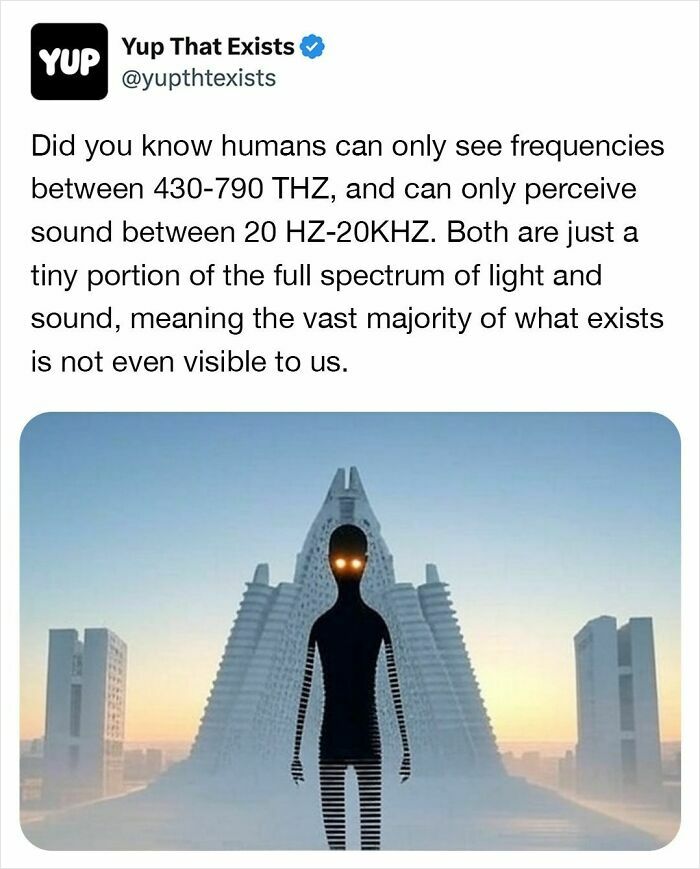 “Yup That Exists”: 109 Weird Things That Sound Made Up But Are Very Real (New Pics)