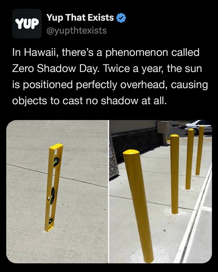 “Yup That Exists”: 109 Weird Things That Sound Made Up But Are Very Real (New Pics)