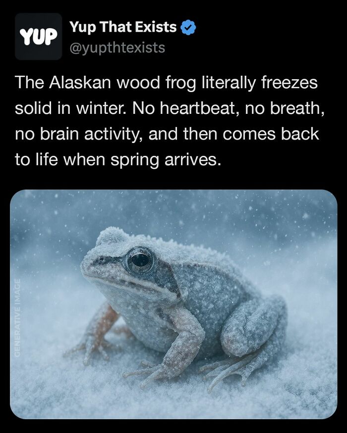 “Yup That Exists”: 109 Weird Things That Sound Made Up But Are Very Real (New Pics)