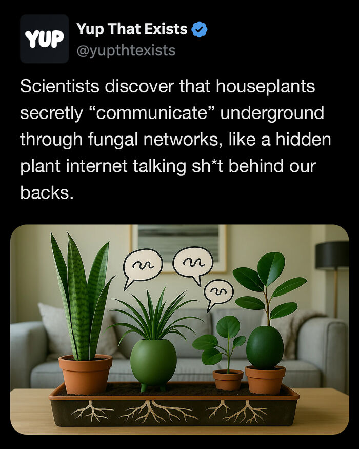 “Yup That Exists”: 109 Weird Things That Sound Made Up But Are Very Real (New Pics)