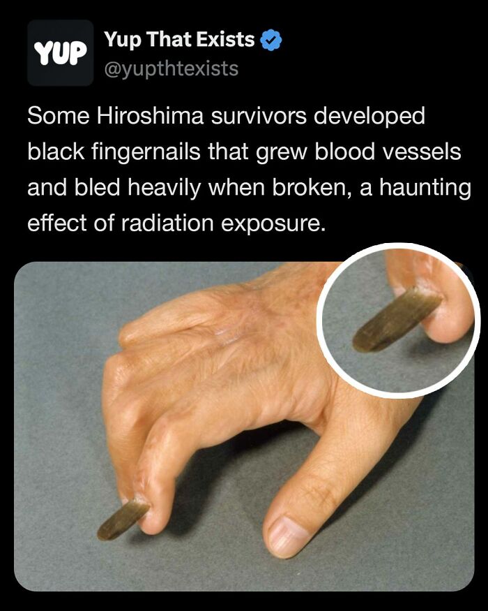 “Yup That Exists”: 109 Weird Things That Sound Made Up But Are Very Real (New Pics)