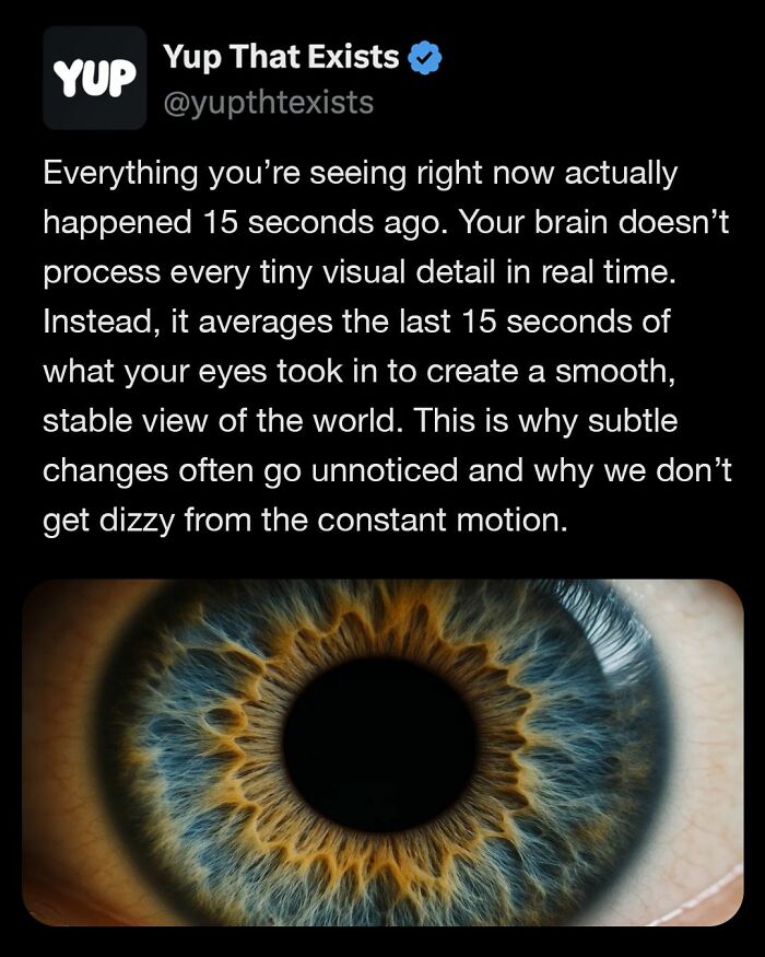 “Yup That Exists”: 109 Weird Things That Sound Made Up But Are Very Real (New Pics)