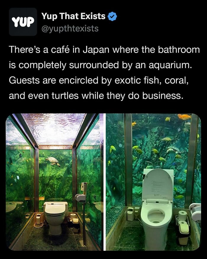 “Yup That Exists”: 109 Weird Things That Sound Made Up But Are Very Real (New Pics)