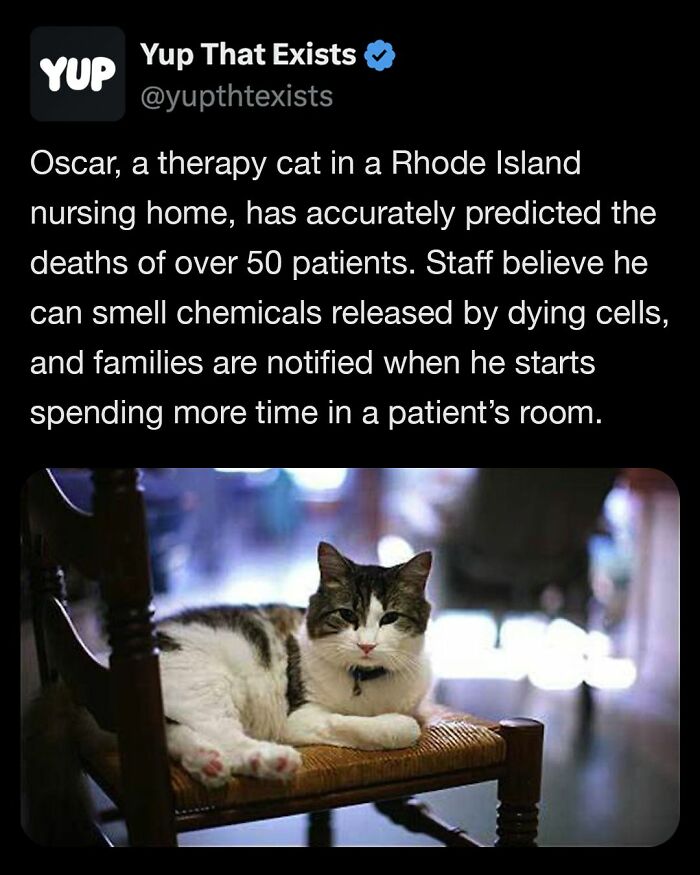“Yup That Exists”: 109 Weird Things That Sound Made Up But Are Very Real (New Pics)