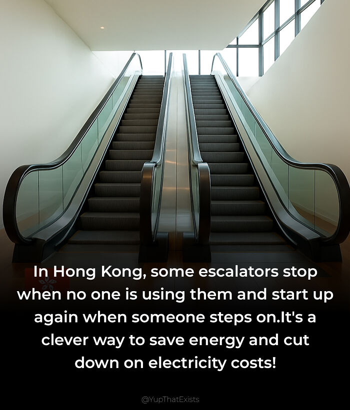 “Yup That Exists”: 109 Weird Things That Sound Made Up But Are Very Real (New Pics)