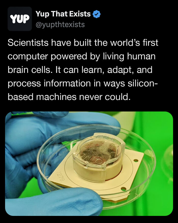 “Yup That Exists”: 109 Weird Things That Sound Made Up But Are Very Real (New Pics)
