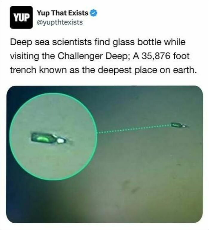 “Yup That Exists”: 109 Weird Things That Sound Made Up But Are Very Real (New Pics)