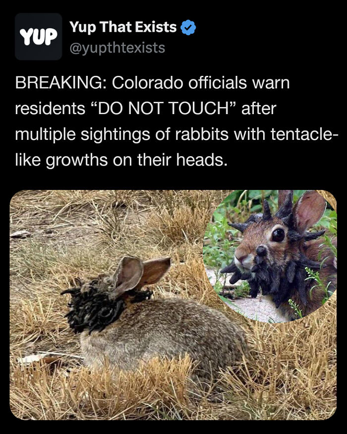 “Yup That Exists”: 109 Weird Things That Sound Made Up But Are Very Real (New Pics)