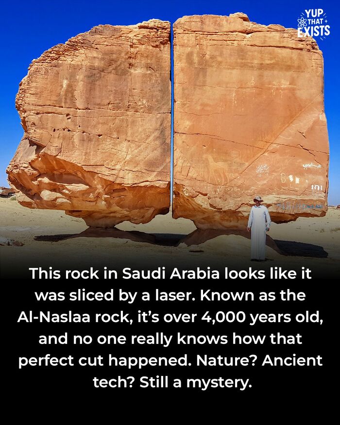 “Yup That Exists”: 109 Weird Things That Sound Made Up But Are Very Real (New Pics)
